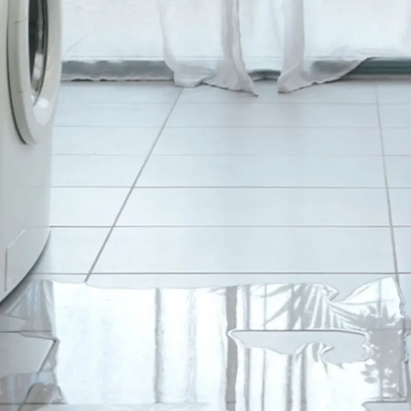 Appliance Leak Cleanup in Greenwich, NY